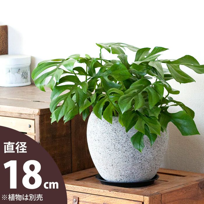 おしゃれ植木鉢 5号鉢 6号鉢サイズの観葉植物の鉢カバー 植替え