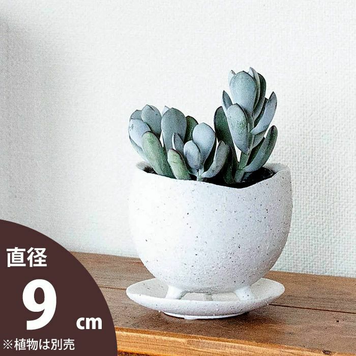 楽天市場】脚 付き 鉢（サイズ（植木鉢）10 ～ 12号）の通販