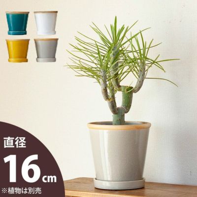 欲しい植木鉢が見つかる！室内外おしゃれプランター専門店