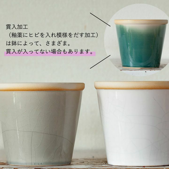 観葉植物の植え替えに！4～５号サイズに適応、色が綺麗な陶器鉢e-花屋さん