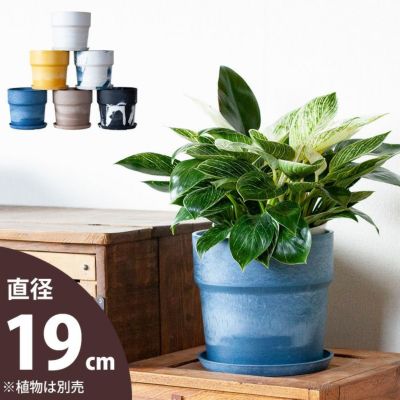 軽い、可愛い、植木鉢。M（19cm)