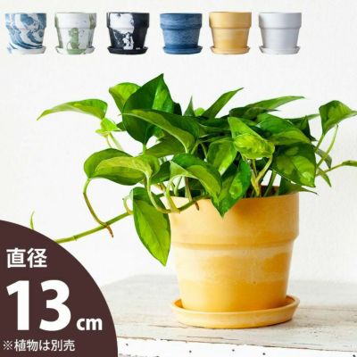 小さめ植木鉢 おしゃれな鉢と植物の専門店 公式 E 花屋さん