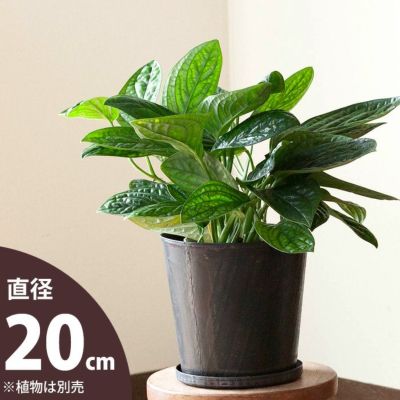 武骨でカッコイイ、アイアン植木鉢L<br>（20ｃｍ）