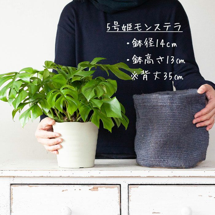 洋服みたいな 布鉢カバー 18ｃｍ 公式 E 花屋さん