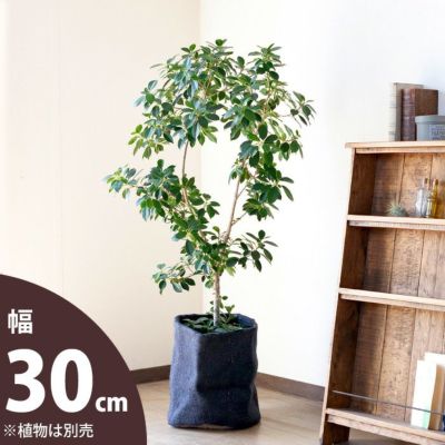 洋服みたいな 布鉢カバー 30cm 公式 E 花屋さん 洋服みたいな 布鉢カバー 30cm 公式 E 花屋さん