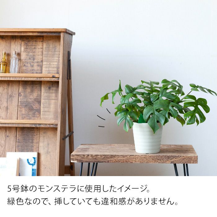 コバエ駆除 土から虫が 観葉植物に虫が 挿すだけ簡単コバエ退治 コバエ駆除 土から虫が 観葉植物に虫が 挿すだけ簡単コバエ退治