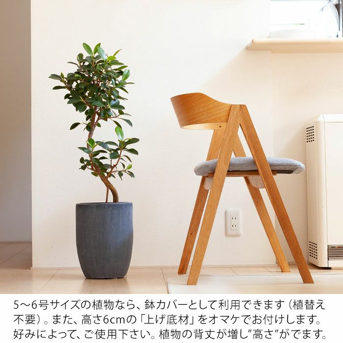 店長お勧め サイズ感goodな植木鉢 23cm 面長 Vo23 植物とは同梱不可 公式 E 花屋さん