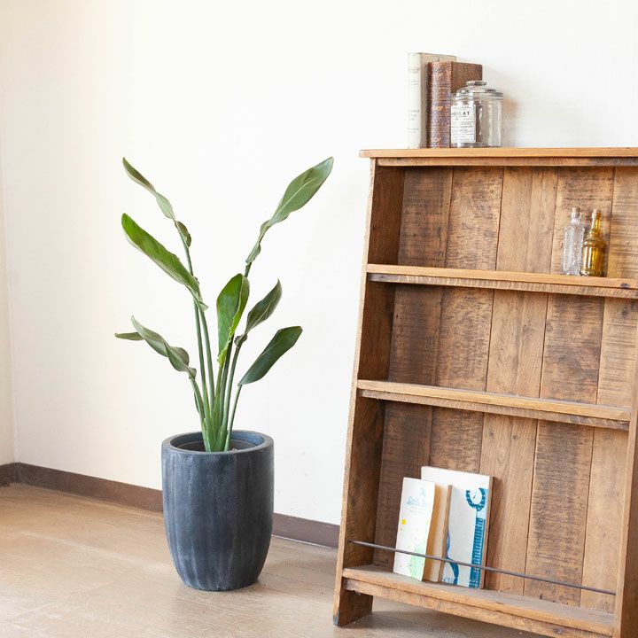 大型の植木鉢（鉢カバー）デザイン陶器、FRPで植物がおしゃれに