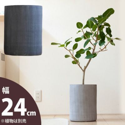 欲しい植木鉢が見つかる！室内外おしゃれプランター専門店