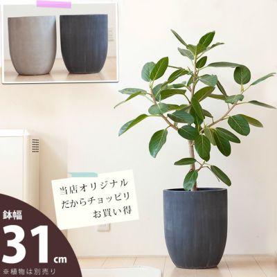 鉢カバー（８号鉢向け）と植木鉢（６号向け）｜おしゃれ陶器・FRP