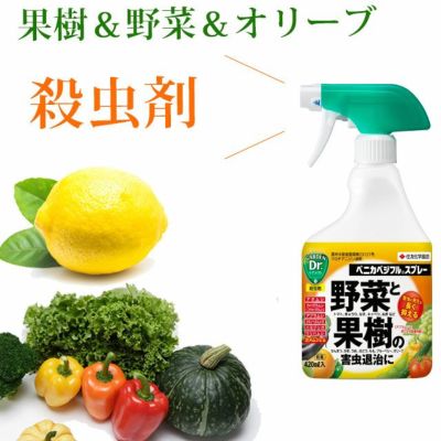 野菜や果樹 オリーブの殺虫にはベニカベジフル4ml 公式 E 花屋さん