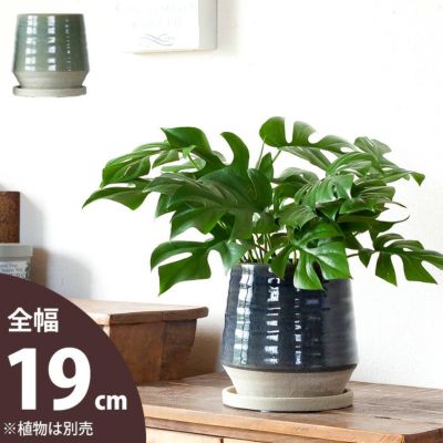 落ち着いた和モダン植木鉢 15 5cm 公式 E 花屋さん 落ち着いた和モダン植木鉢 15 5cm 公式 E 花屋さん