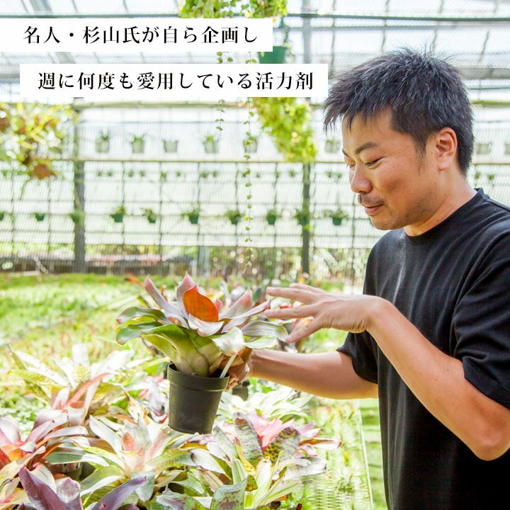 植物の根を活性化させる活力剤・ブラックウォーター | [公式]e-花屋さん