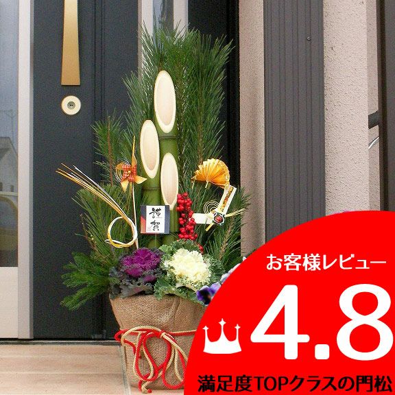 e-花屋さん 本店｜観葉植物のおすすめPICK UP