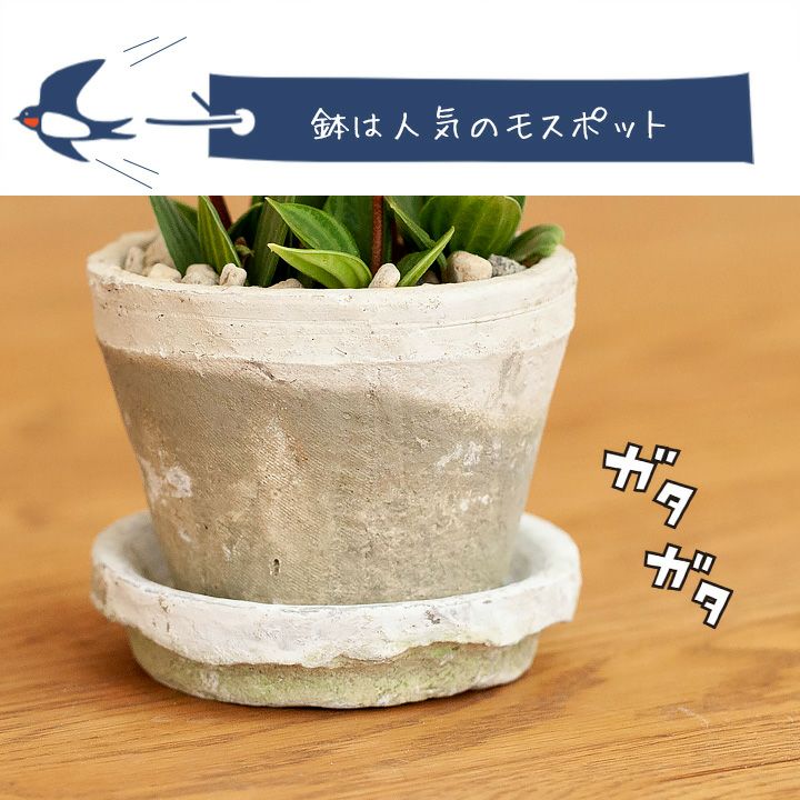 植木鉢について