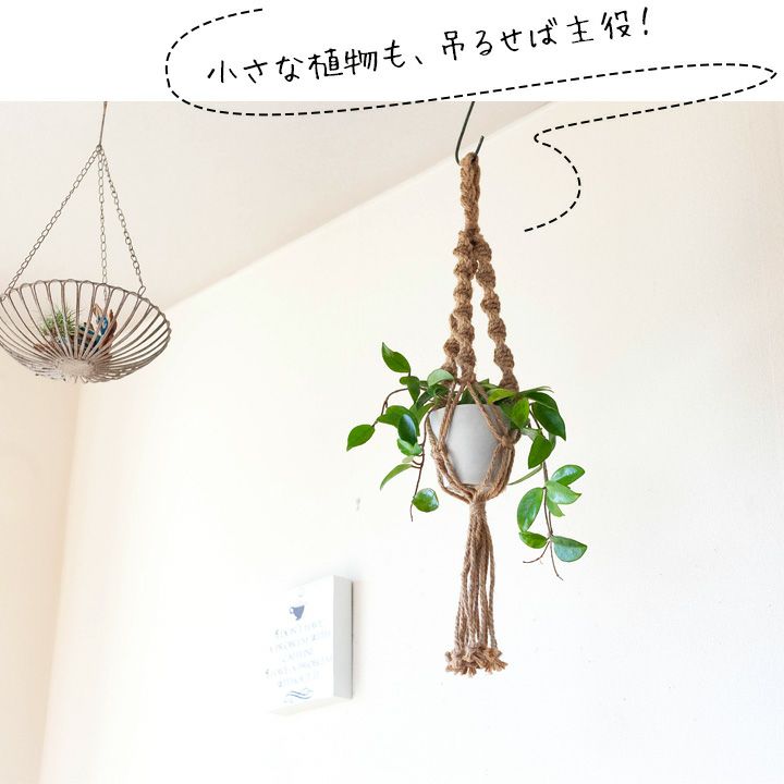 ハンギングの植物