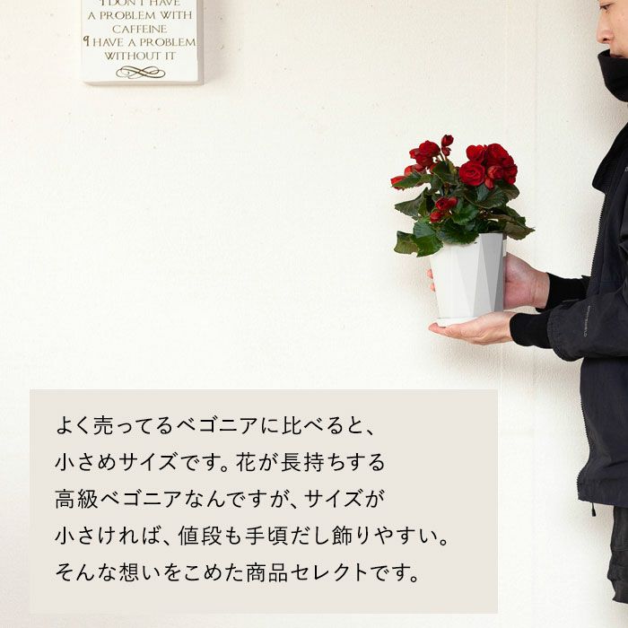 注意事項