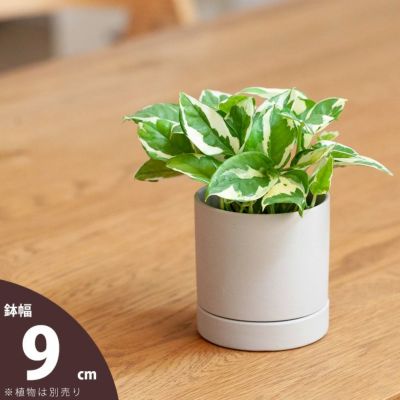 2号鉢、2.5号鉢、3号鉢サイズ｜おしゃれ植木鉢27種（陶器・素焼き）
