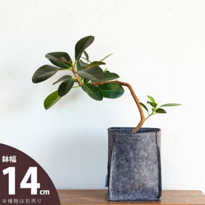 バッグ職人がプロデュースした鉢カバー<br>□14cm×高さ19cm