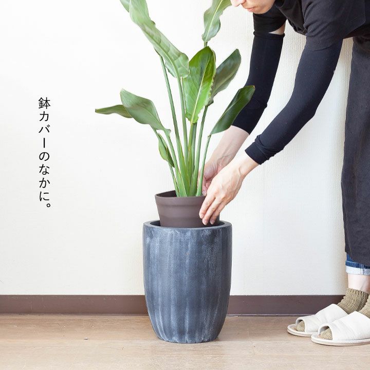 鉢カバーの中に入れるインナーポット 6 8号サイズの植物向け