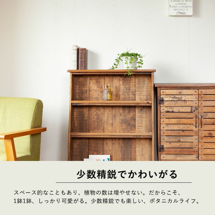ウロコ模様・北欧風の陶器鉢｜ミニ観葉植物の植替えにe-花屋さん