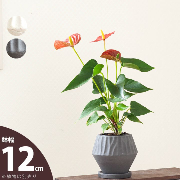 シンプルだけど、形がおもしろい！菱形＆マットな質感の陶器鉢