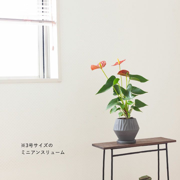 k18 菱形の花鳥柄　鉢 シンプルだけど、形がおもしろい！菱形＆マットな質感の陶器鉢