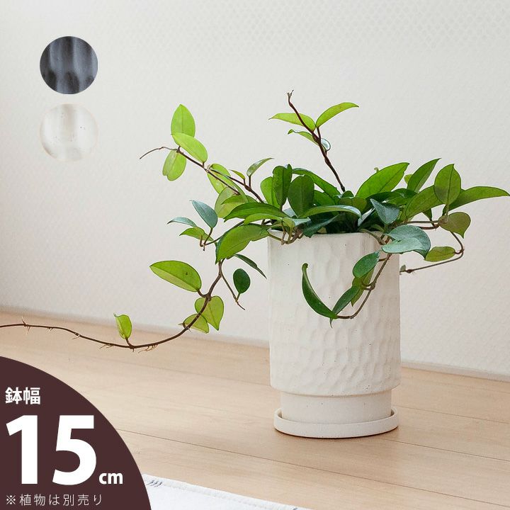 5号の観葉植物に高さを出す、おしゃれな縦長陶器鉢｜マット白黒