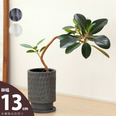 欲しい植木鉢が見つかる おしゃれ植木鉢専門店 公式 E 花屋さん 欲しい植木鉢が見つかる おしゃれ植木鉢専門店 公式 E 花屋さん