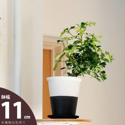 白黒モダン植木鉢（横半分タイプM）<br>（11.5ｃｍ）