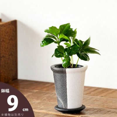 白黒モダン植木鉢（たて半分タイプS）<br>（9ｃｍ）