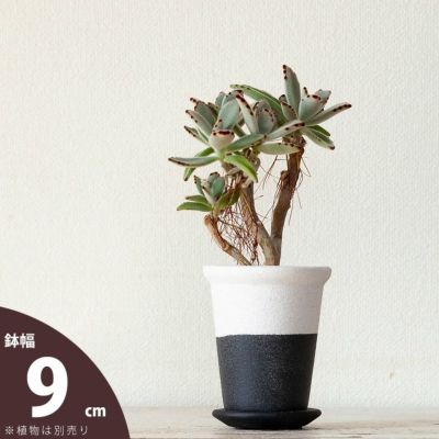 白黒モダン植木鉢（横半分タイプS）<br>（9ｃｍ）