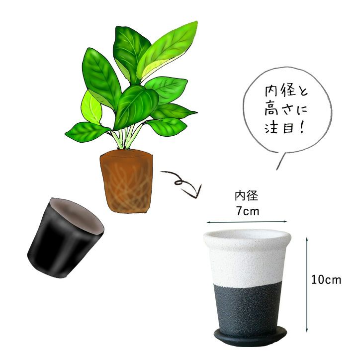白黒モダンなおしゃれ植木鉢｜2～2.5号サイズ植物の植替えに適応