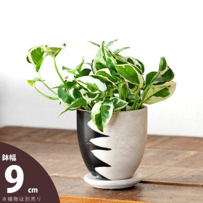異国風、ハンドメイドPOT：縦ギザtype<br>（9ｃｍ）