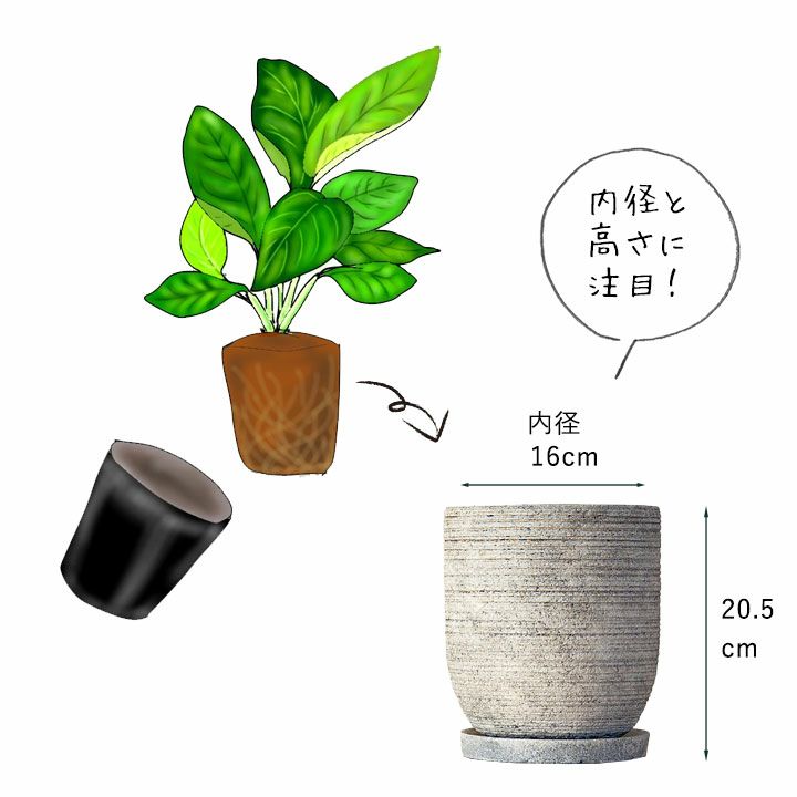 縦に長い、18cmの陶器鉢｜5～6号の観葉植物の植え替えに[公式] e-花屋さん