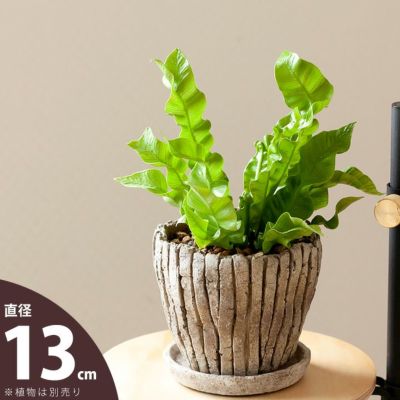 ゴツゴツ、石っぽいけど優しい雰囲気・化粧鉢（13ｃｍ）