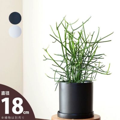 定番！マット調・シリンダー植木鉢Ｌ<br>（18ｃｍ）