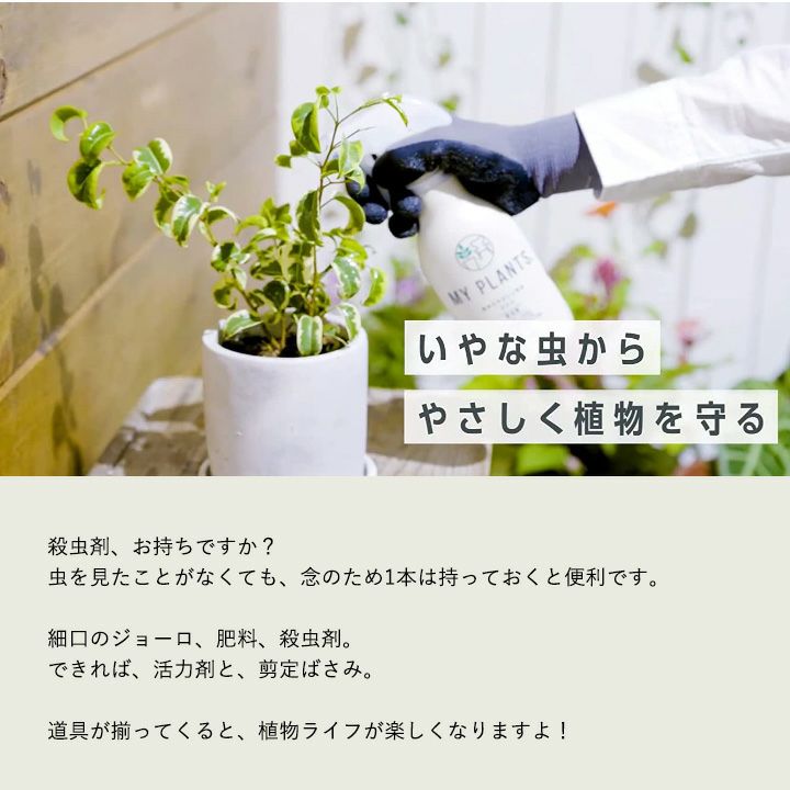観葉植物を虫から守る コバエ カイガラムシ ハダニにお悩みの方はコレ