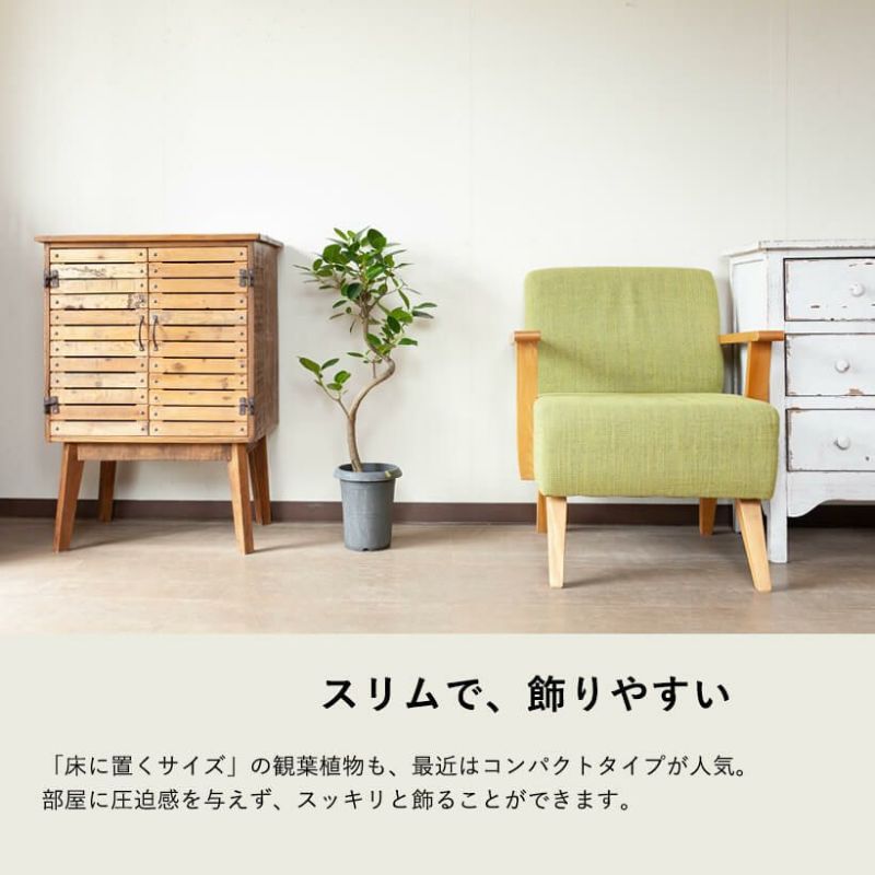フランスゴム幹曲がり同梱不可商品です | [公式]e-花屋さん