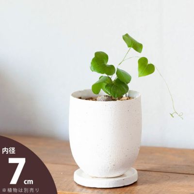 楕円形の縦長陶器鉢｜2号~2.5号サイズの植物向け｜e-花屋さん