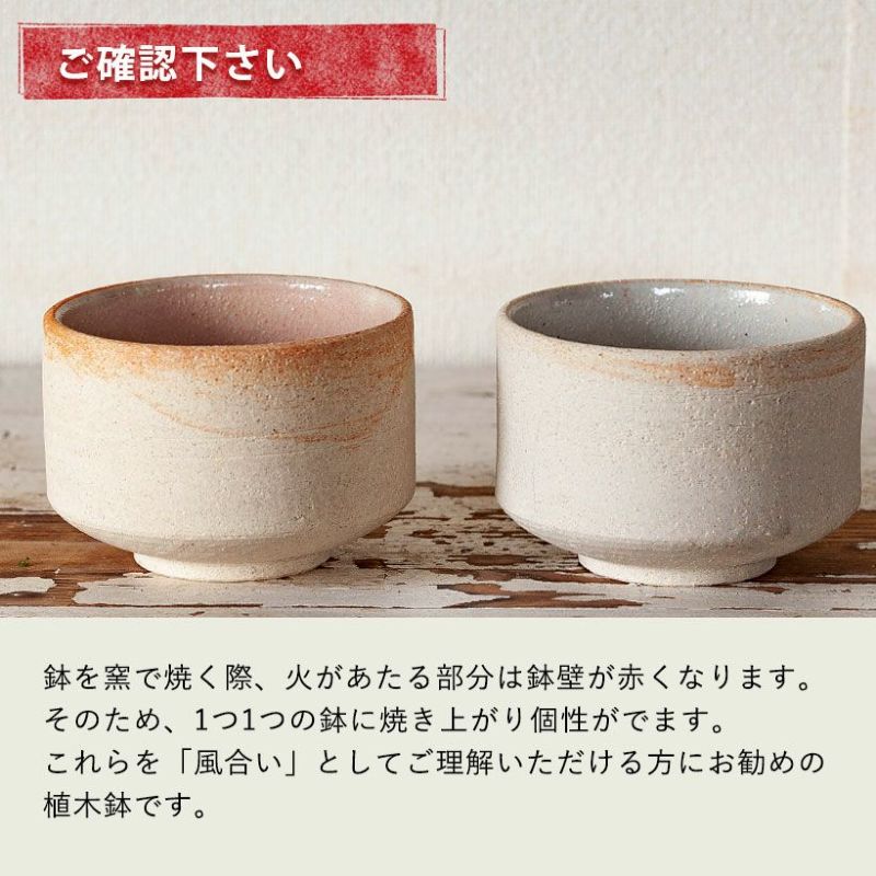 国産・お椀みたいな浅型陶器鉢 [公式]e-花屋さん