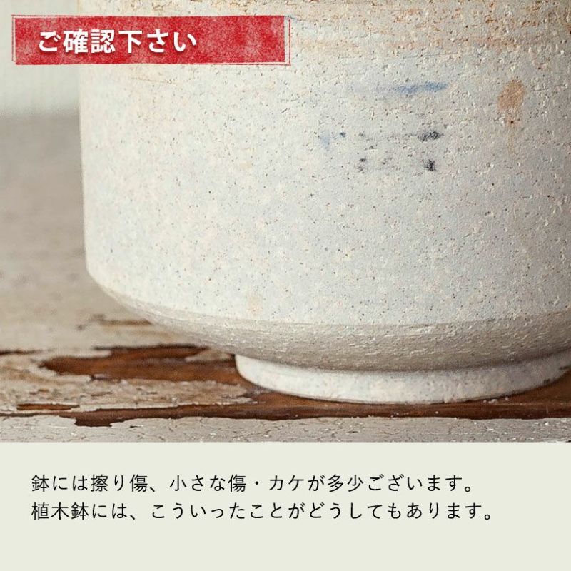 国産・お椀みたいな浅型陶器鉢 | [公式]e-花屋さん