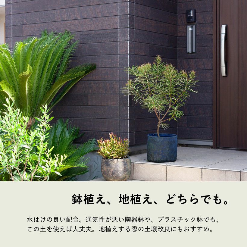 オージープランツ向け培養土｜植え替えに必要な鉢、植物も販売