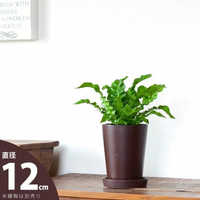 シンプルな茶色の植木鉢（12cm）