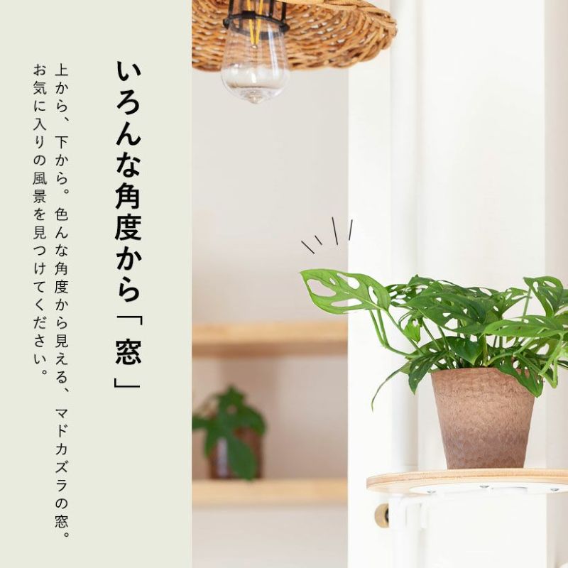 パウスカート♡ マチャ抹茶様オーダー　モンステラ 一点のみ‼️ day2 🇹🇭 念願のタイの伝統衣装を 事前に調べて何色着ようか