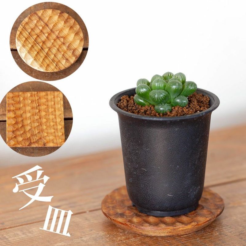 新品登場 水受け皿の代用に！四角のおしゃれ木製コースター｜鉢植え植物に 食器