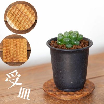 水受け皿の代用に！四角のおしゃれ木製コースター｜鉢植え植物に