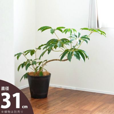 鉢カバー（8号鉢対応）おしゃれ樹脂で、お求めやすいプライス