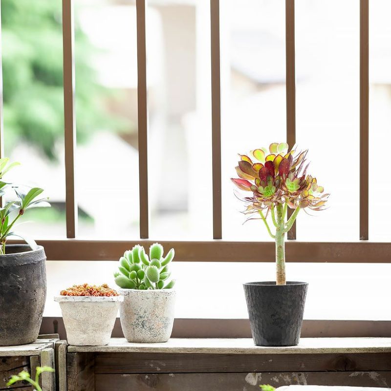 000000006948-02-l.jpg?t=