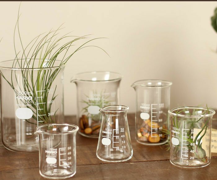 置くだけで可愛い！インテリアとしても、鉢としても遊んで見たくなる♪高品質！国産のやわらかいフォルムに癒しをもらう、ビーカー500ml（ガラス製：外形92mm×高さ121mm）※植物は別売りです。